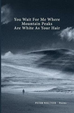 Cover of You Wait For Me Where Mountain Peaks Are White As Your Hair