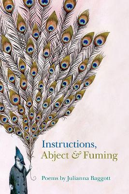 Book cover for Instructions