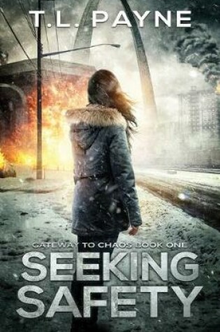 Cover of Seeking Safety