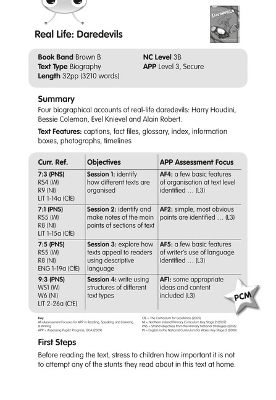 Cover of BC NF Brown B/3B Real Life: Daredevils Guided Reading Card