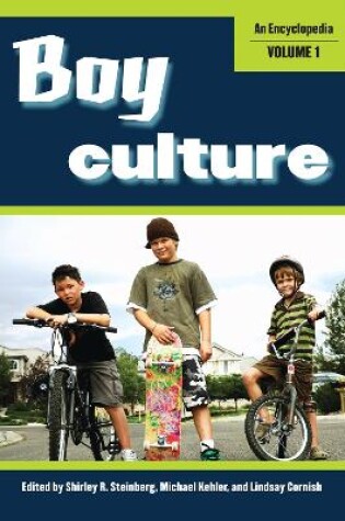 Cover of Boy Culture