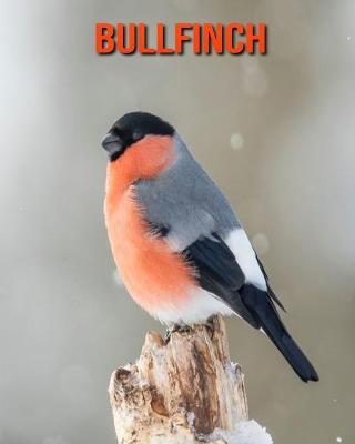 Book cover for Bullfinch