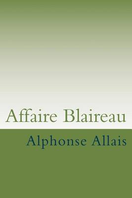Book cover for Affaire Blaireau