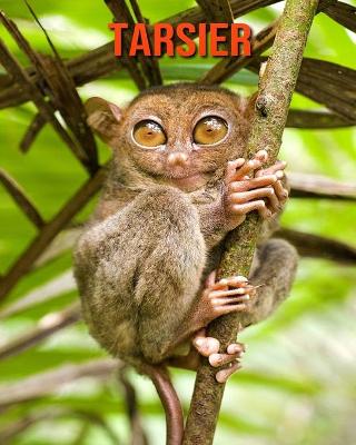 Book cover for Tarsier