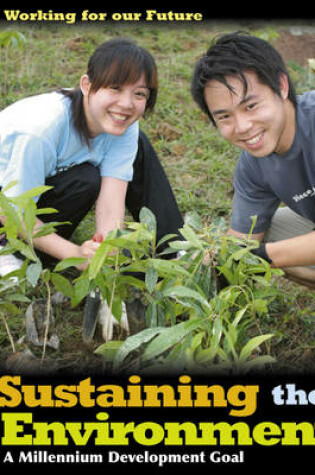 Cover of Sustaining the Environment