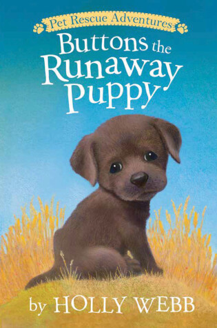 Cover of Buttons the Runaway Puppy