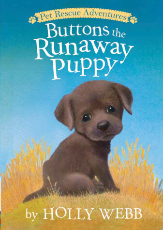 Book cover for Buttons the Runaway Puppy