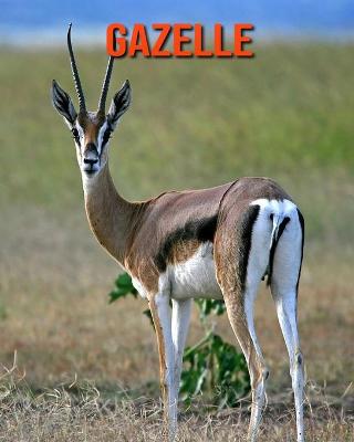 Book cover for Gazelle