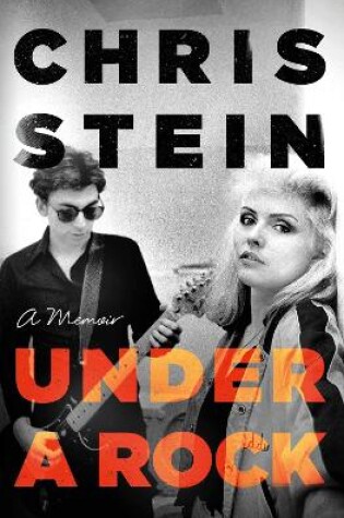 Cover of Under A Rock