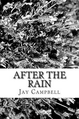 Book cover for After the Rain