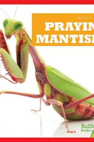 Cover of Praying Mantises