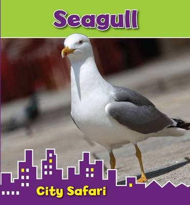 Book cover for Seagull