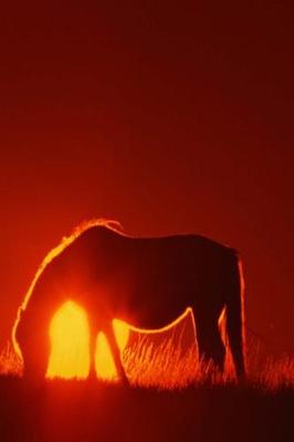 Cover of Journal Horse Red Sunset Equine