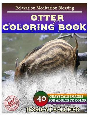 Book cover for Otter Coloring Book for Adults Relaxation Meditation Blessing