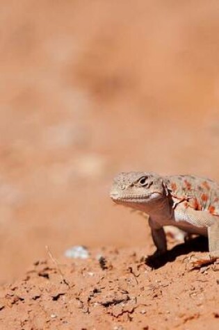 Cover of A Long Nosed Leopard Lizard