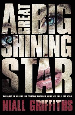 Book cover for A Great Big Shining Star