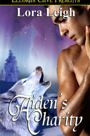 Cover of Aiden's Charity