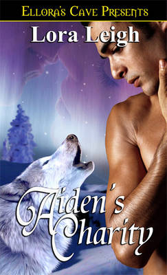 Book cover for Aiden's Charity