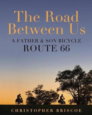 Book cover for The Road Between Us