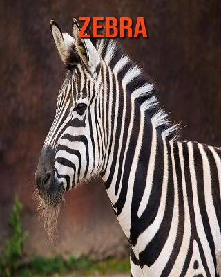 Book cover for Zebra