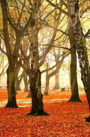 Cover of The Ground of the Park Covered in the Red Leaves of Autumn