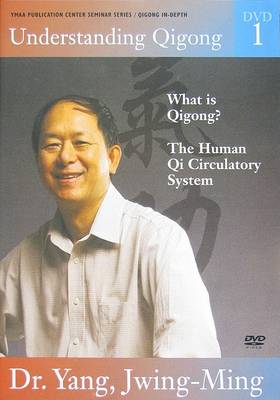Book cover for Understanding Qigong