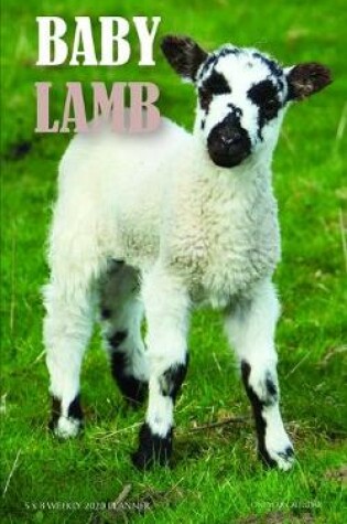 Cover of Baby Lamb 5 x 8 Weekly 2020 Planner