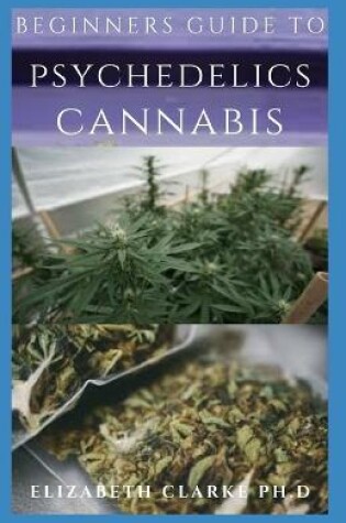 Cover of Beginners Guide to Psychedelics Cannabis