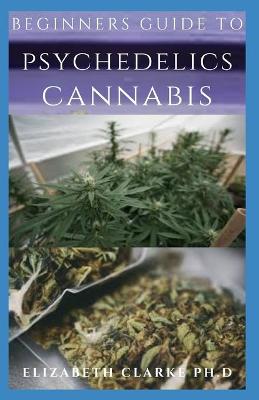 Book cover for Beginners Guide to Psychedelics Cannabis