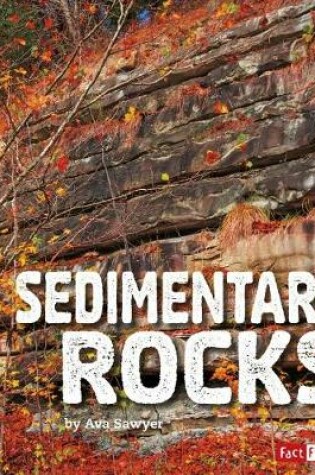 Cover of Sedimentary Rocks (Rocks)