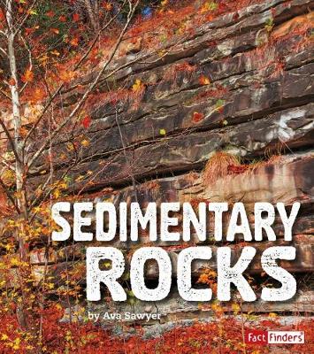 Book cover for Rocks Sedimentary Rocks