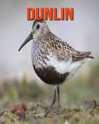 Book cover for Dunlin