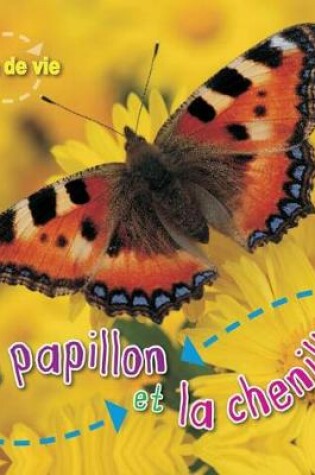 Cover of Cycle de Vie: Le Papillion Et La Chenille