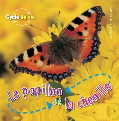 Cover of Cycle de Vie: Le Papillion Et La Chenille