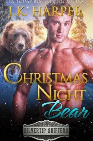 Cover of Christmas Night Bear
