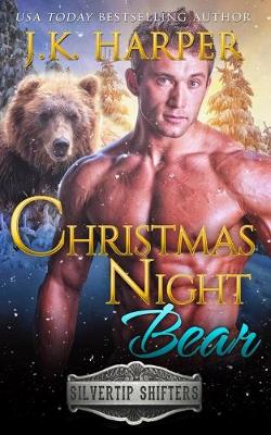 Book cover for Christmas Night Bear