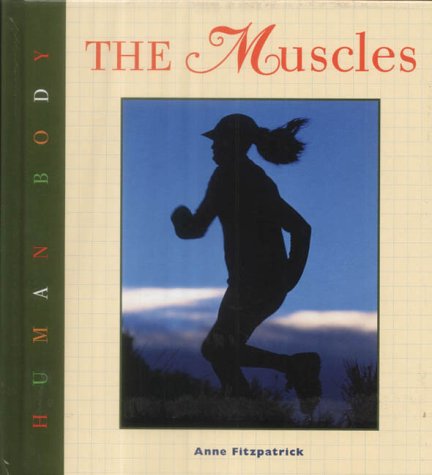 Book cover for Muscles