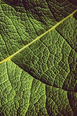 Cover of Leaf Veins Notebook