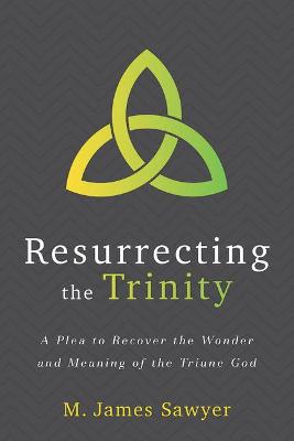 Book cover for Resurrecting the Trinity