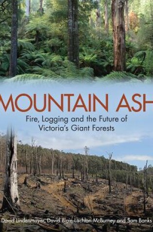 Cover of Mountain Ash