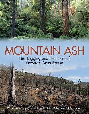 Book cover for Mountain Ash