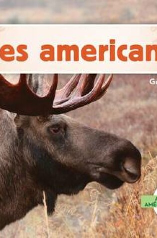 Cover of Alces Americanos (Moose)