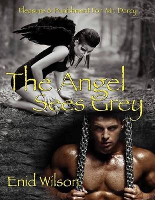 Book cover for The Angel Sees Grey: Pleasure and Punishment for Mr. Darcy