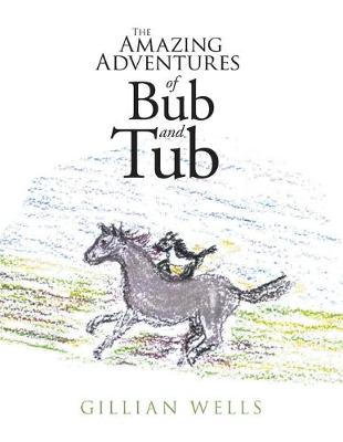 Book cover for The Amazing Adventures of Bub and Tub