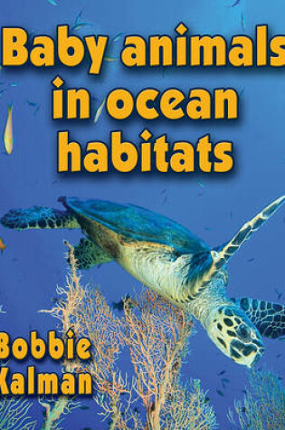 Cover of Baby Animals in Ocean Habitats