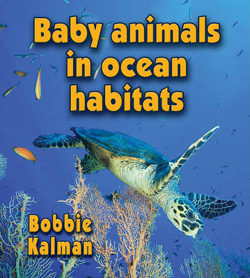 Book cover for Baby Animals in Ocean Habitats