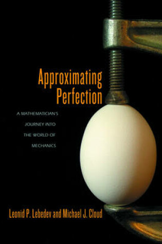 Cover of Approximating Perfection