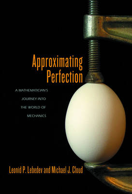 Book cover for Approximating Perfection