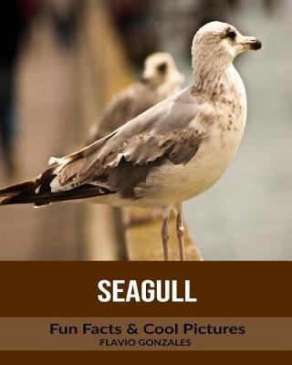 Book cover for Seagull