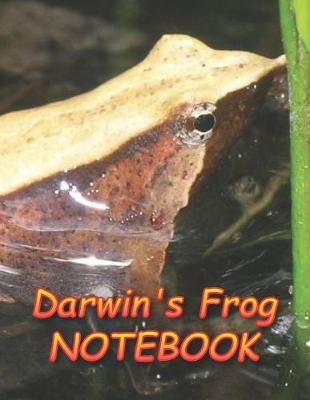 Book cover for Darwin's Frog NOTEBOOK